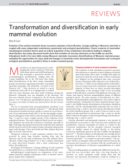 REVIEWS - The Luo Lab