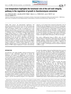 Low temperature highlights the functional role of the cell wall