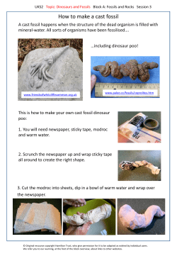 How to make a cast fossil