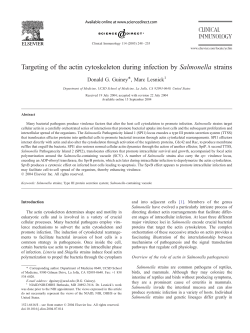 Targeting of the actin cytoskeleton during infection by Salmonella