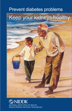 Keep your kidneys healthy - Vidyya Medical News Service