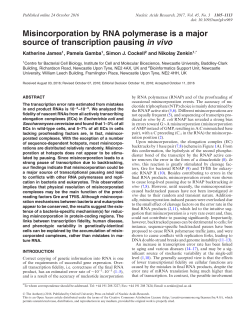 Misincorporation by RNA polymerase is a major source of