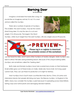 Barking Deer - Super Teacher Worksheets