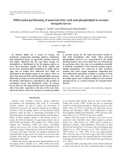 Differential partitioning of Maternal fatty acid and phospholipid in