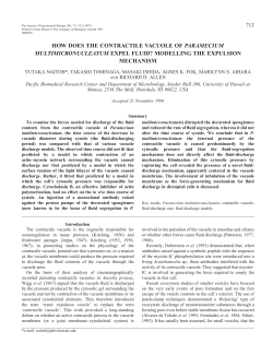 how does the contractile vacuole - Journal of Experimental Biology