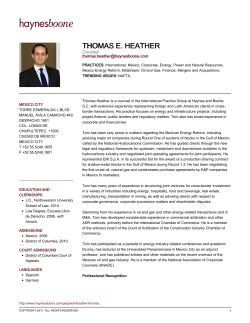 thomas e. heather - Haynes and Boone, LLP