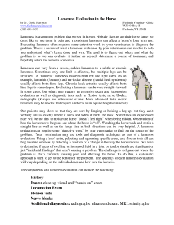 Lameness Evaluation in the Horse History Exam: close