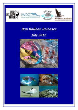 Ban Balloon Releases