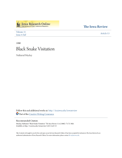 Black Snake Visitation