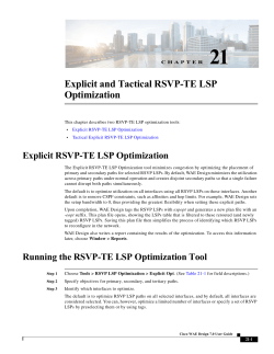 Explicit and Tactical RSVP-TE LSP Optimization