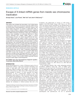 Escape of X-linked miRNA genes from meiotic sex