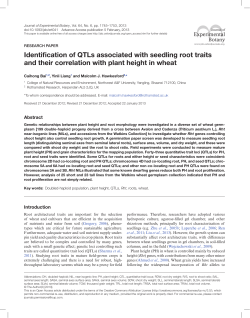 Identification of QTLs associated with seedling root traits and their
