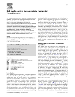 Cell-cycle control during meiotic maturation