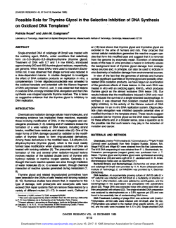 Possible Role for Thymine Glycol in the