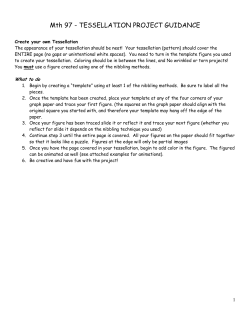 Tessellation Project Directions