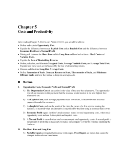 Chapter 5 Costs and Productivity