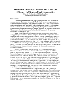 Mechanical Diversity of Stomata and Water Use Efficiency in