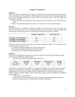 Productivity - Hatem Masri