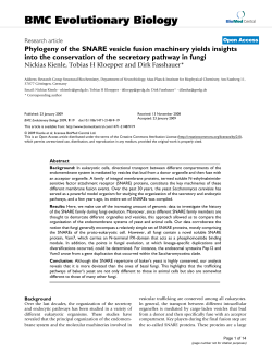 Phylogeny of the SNARE vesicle fusion machinery yields insights