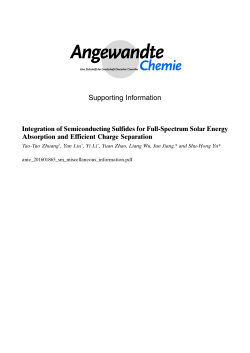 Supporting Information