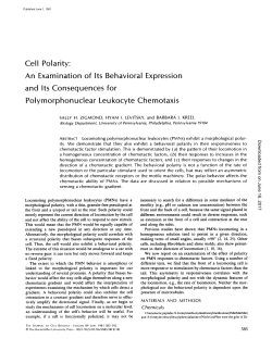Cell Polarity - The Journal of Cell Biology