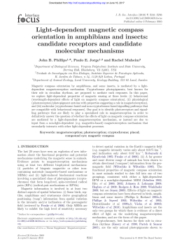 Full Text  - Journal of The Royal Society Interface