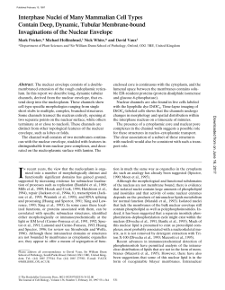 Interphase Nuclei of Many Mammalian Cell Types Contain Deep
