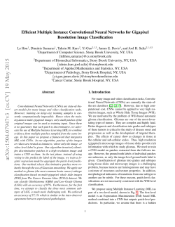 Efficient Multiple Instance Convolutional Neural