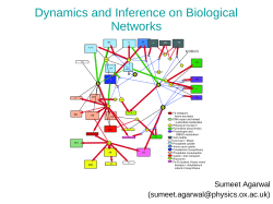 Dynamics and Inference on Biological Networks