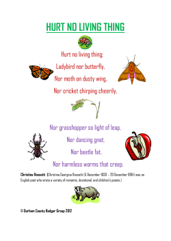 hurt no living thing - Durham County Badger Group