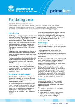 Feedlotting lambs - NSW Department of Primary Industries