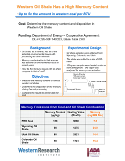 Western Oil Shale Has a High Mercury Content