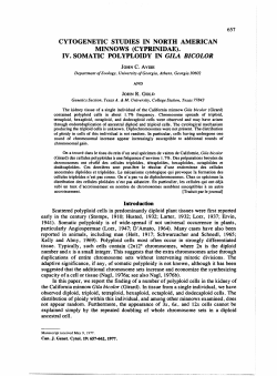 iv. somatic polyploidy in gila bicolor
