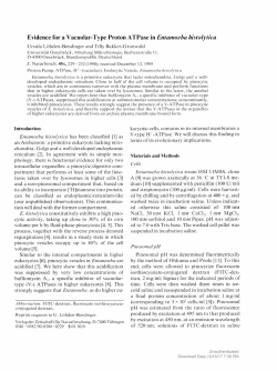 Evidence for a Vacuolar-Type Proton ATPase in