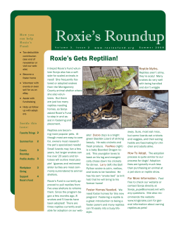 Summer 2008 - Roxie`s Fund
