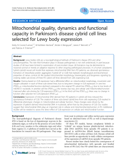 Mitochondrial quality, dynamics and functional capacity in