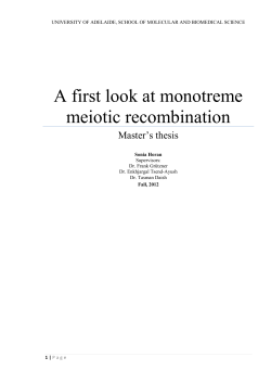 A first look at monotreme meiotic recombination
