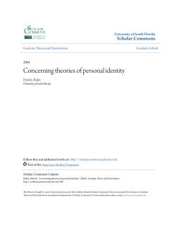 Concerning theories of personal identity