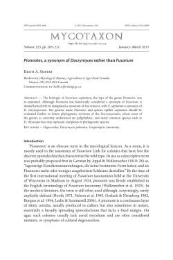 Pionnotes, a synonym of Dacrymyces</i