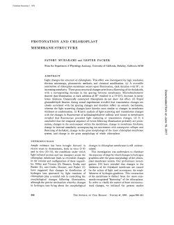 protonation and chloroplast membrane structure