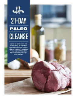 The-Paleo-Plan-21-Day-Paleo-Cleanse-eBook