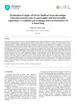 Production of single cell oil for biodiesel from