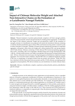 Impact of Chitosan Molecular Weight and Attached Non