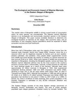 The Ecological and Economic Impact of Siberian Marmots in the