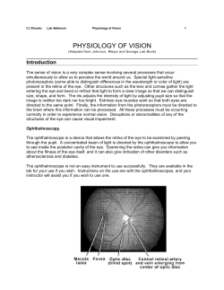 physiology of vision - Madison Area Technical College
