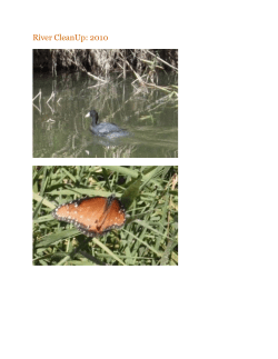 2010 - River CleanUp