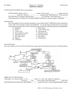 Workshop #8 - Photosynthesis