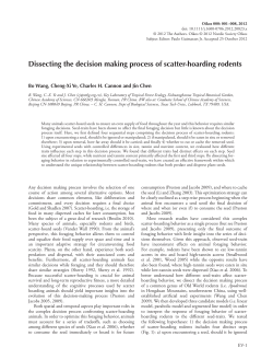 Dissecting the decision making process of scatterhoarding rodents