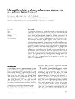 Interspecific variation in plumage colour among birds: species
