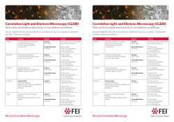 Correlative Light and Electron Microscopy (CLEM) Correlat